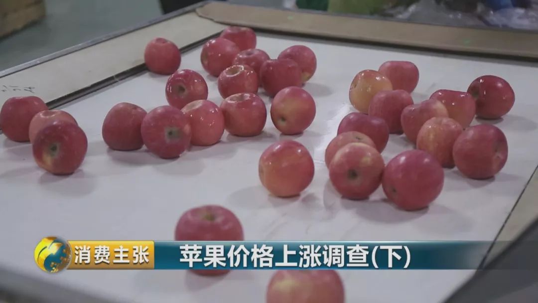 走访终端市场要了解哪些,全国苹果产区最新信息