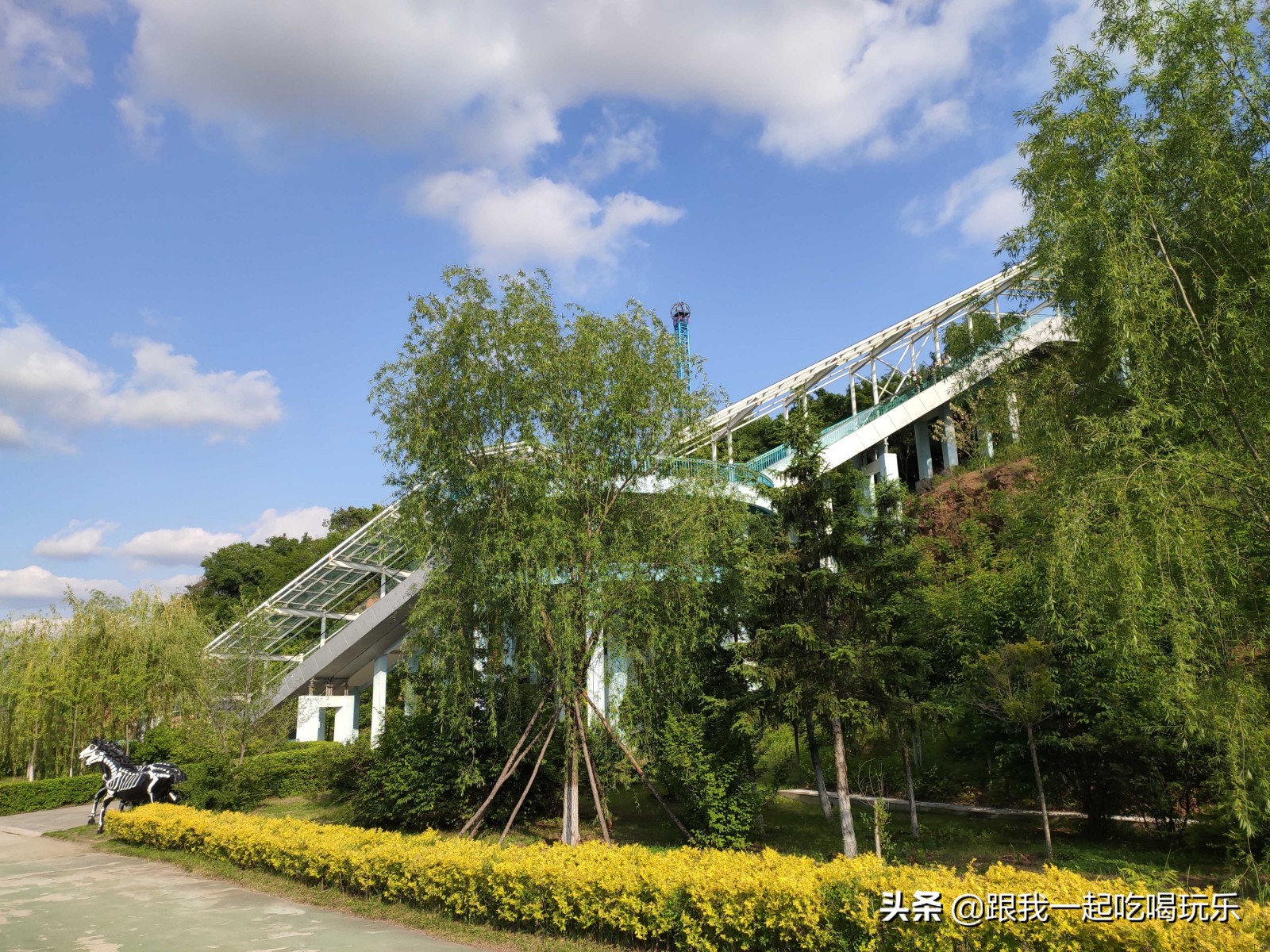 沈阳可以探险的地方,沈阳亲子游丛林探险