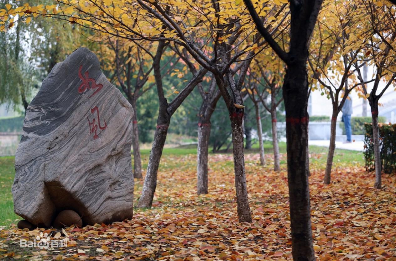华为工程师年收入,华为技术工程师年薪