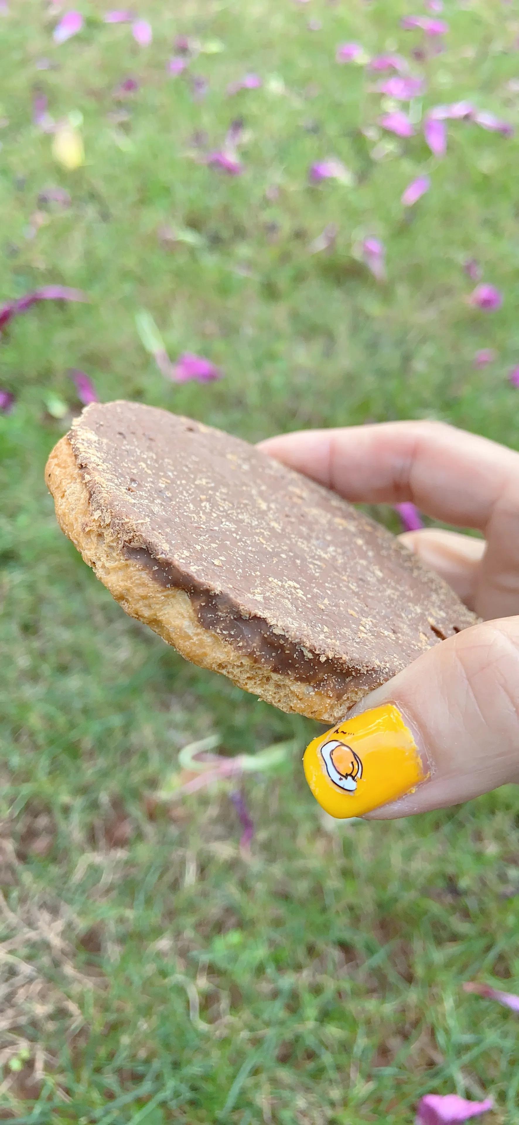 伯力爵脆吐司测评,伯力爵高端脆吐司怎么样