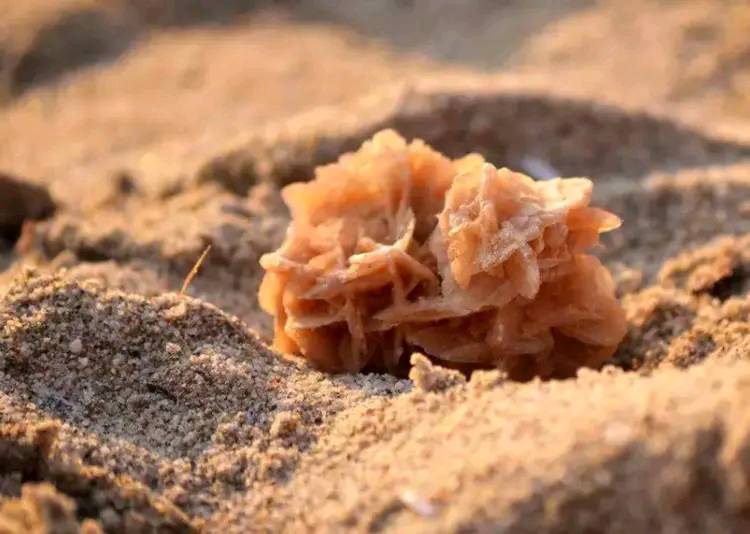 去沙漠的路上能捡到石头吗,沙漠上捡石头的秘密