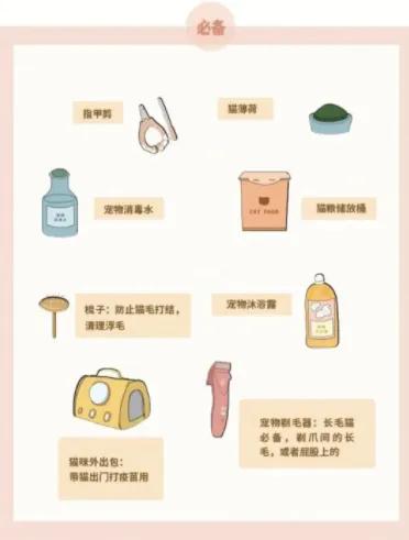 中华田园猫养猫经验,分享养猫经验的直播