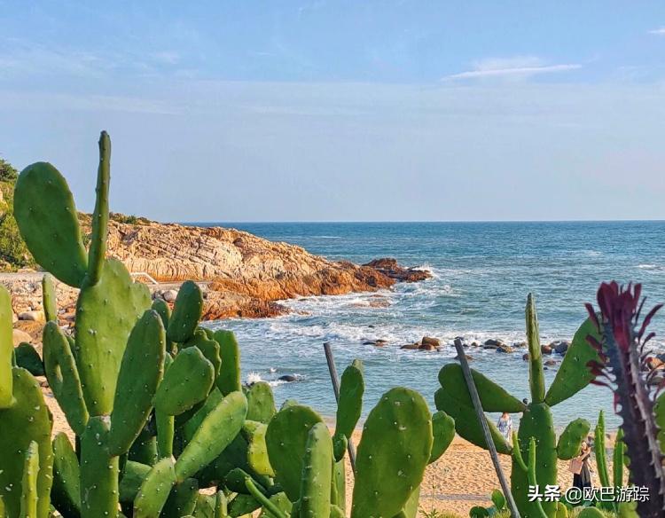 广东海岛打卡网红地,广东小众海岛打卡