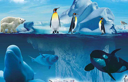 杭州海洋极地公园游玩攻略,杭州极地海洋公园游记