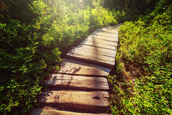 今日秋分秋色平分岁月无恙,秋分已过秋意渐浓又闻桂花香