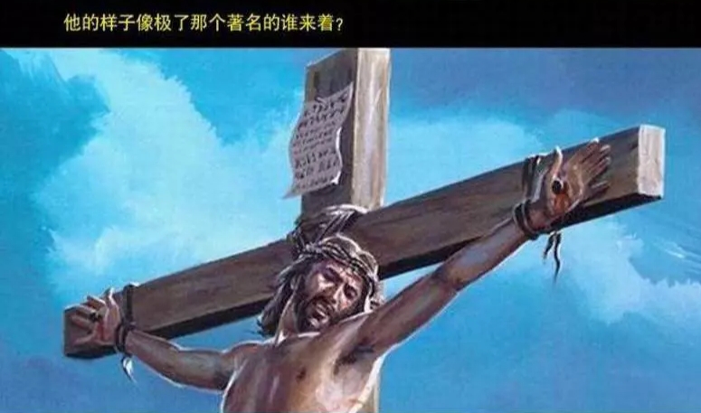 一日一书完整版在线阅读,一日一书全部内容