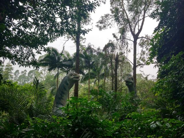 广州番禺区长隆野生动物世界缆车,广州旅游长隆野生动物世界