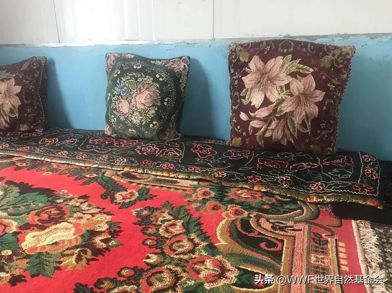 如何品味普洱茶,如何品味一杯红茶