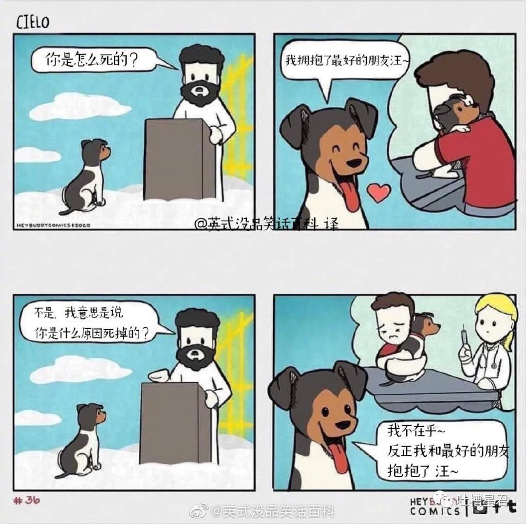 假胸、假腰、假屁股,还有什么是真的?网友:再也不相信女人了