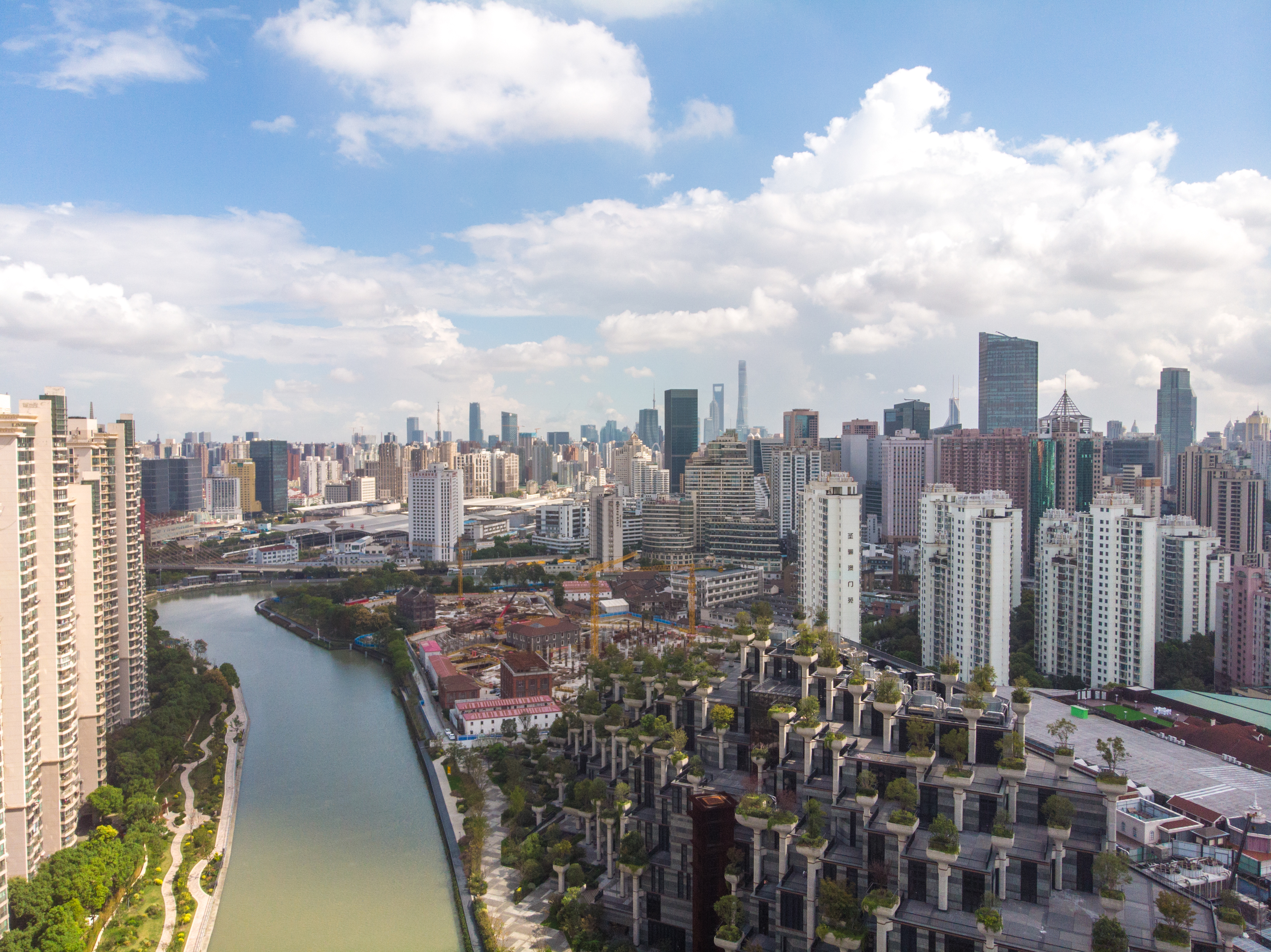 上海地标建筑1000棵树,上海天安千树谁开发的