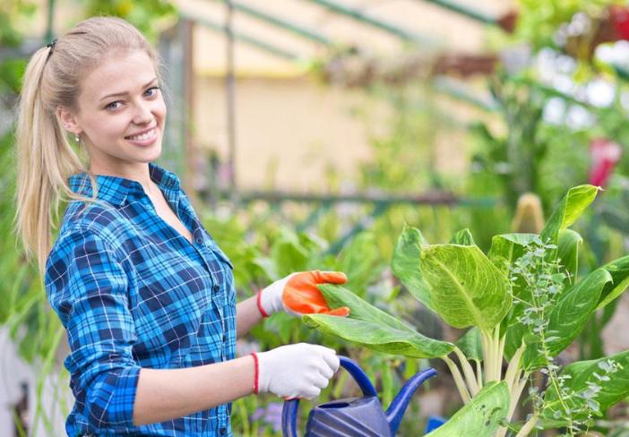 种植技巧学习,种植花卉应该怎么开始学