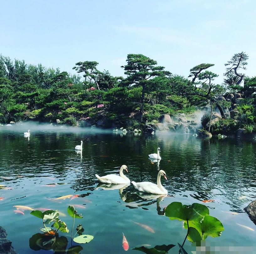 照片中的法图麦素颜出镜,法图麦晒照庆新年