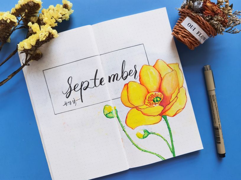 顶级自律100个习惯,世界顶级自律100条