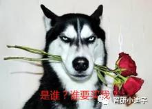 财务分析大白话,财务分析一句话概括