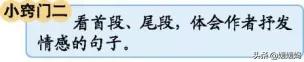 部编版五年级下册各单元知识点,部编版语文五年级下册知识点汇总