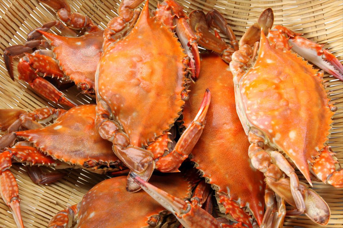 买螃蟹怎么选最有效,买螃蟹怎么挑选