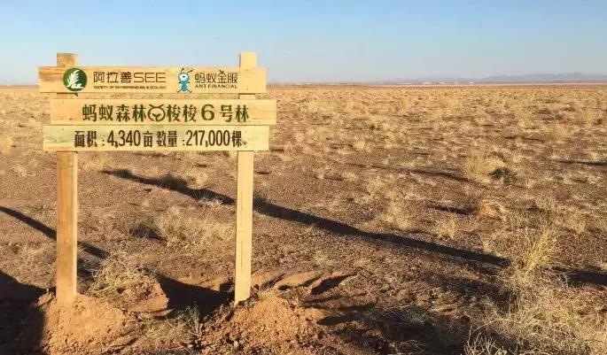 马云去阿里巴巴集团上班全过程,马云在阿里巴巴集团的职位