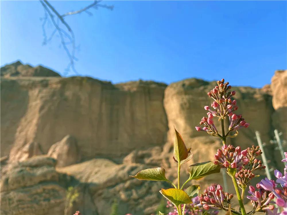住最静的酒店，看最美的景！只因在黄河石林~