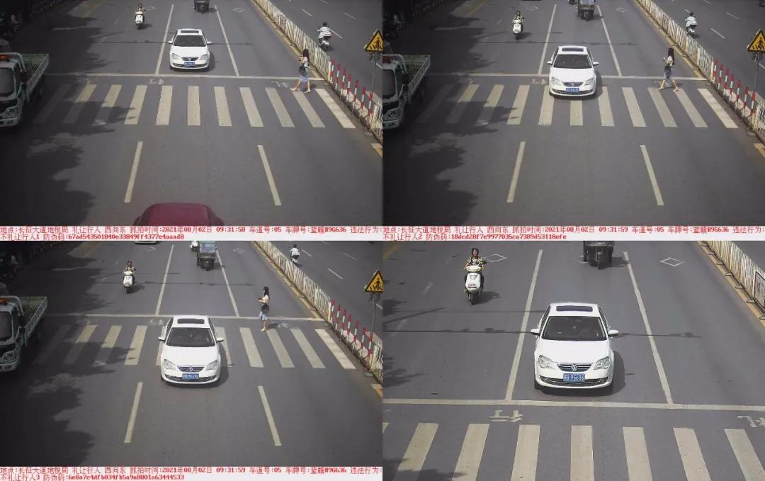 于都礼让行人上哪里举报,于都五中不礼让行人抓拍