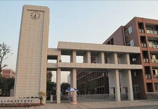 高新区小升初要什么资料,高新区小升初学校排名