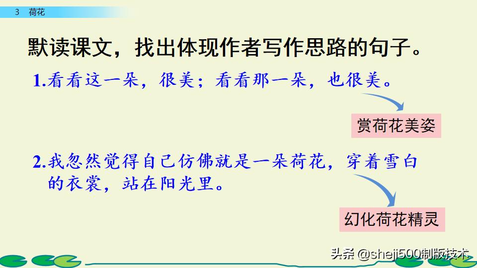 部编版三年级下册语文3荷花讲解,三年级下册部编语文荷花教学视频