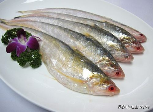 世界上最贵的三种食材,全球公认最贵顶级食材及价格