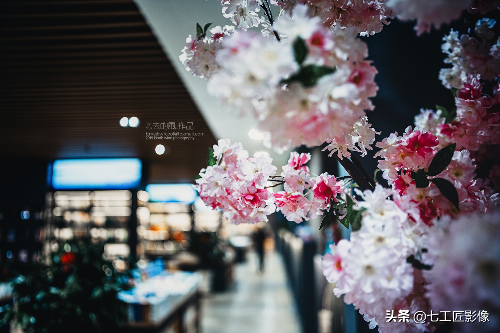 七工匠24mmf1.4评测,趣味体验测试