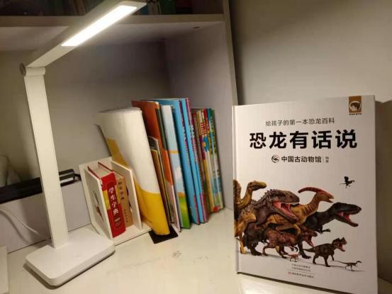 关于恐龙的儿童科普书籍,为什么孩子会喜欢看有关恐龙的书