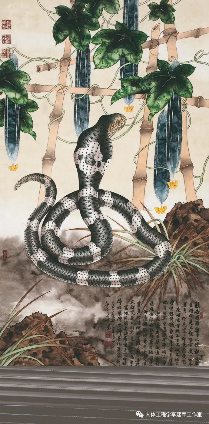 人体工程学生肖周运势：2020年6月14日—6月20日