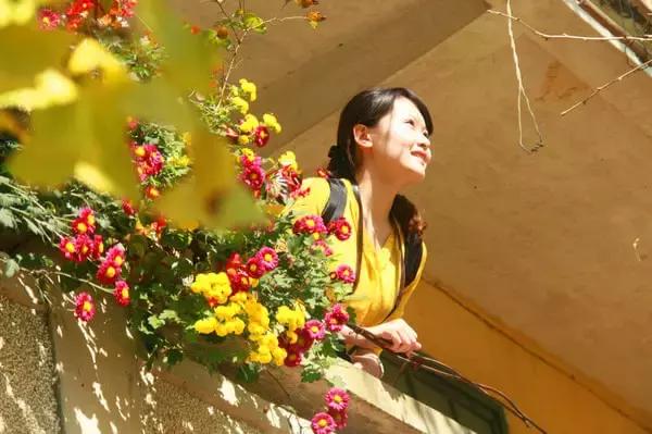 南雄最美银杏,广东美丽的银杏图片