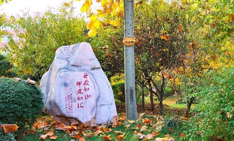 洛阳民办初中学校排名榜,洛阳初中民办学校怎么报名