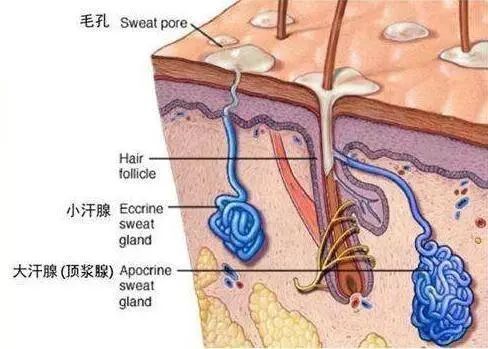 有多少人在怀念小时候的味道,有多少人还记得小时候的味道