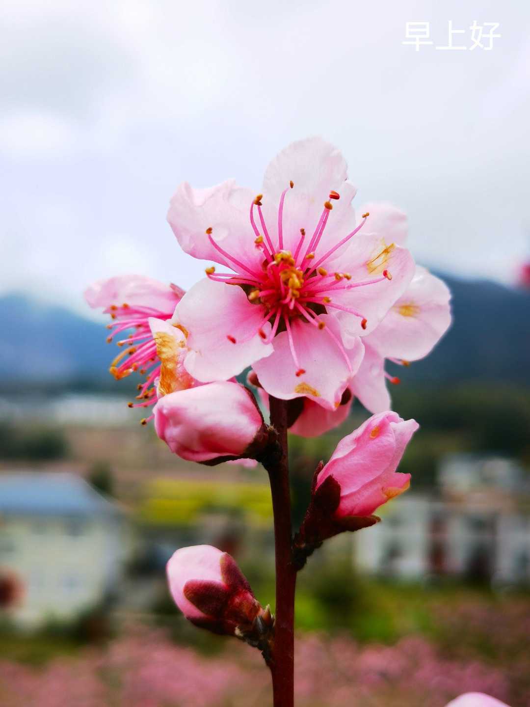 男科实习心得体会怎么写,男科问诊经历描述