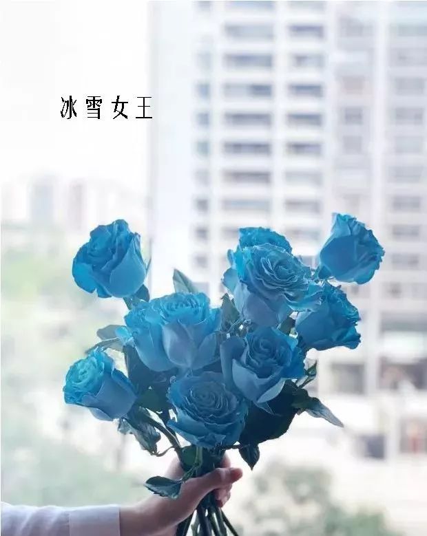 鲜花店常见花材品种大全,花店里同款的两种不同价格的花材