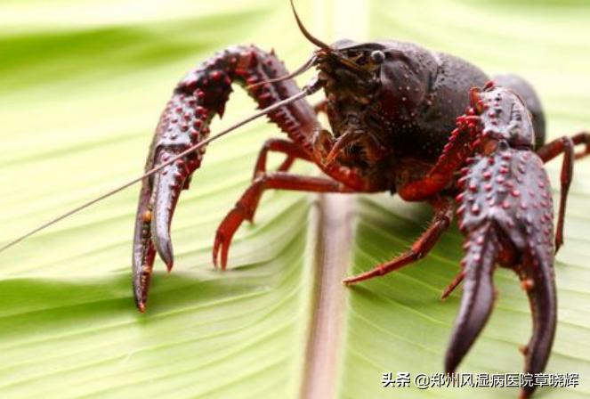 远离痛风得了痛风不要慌,早期痛风能彻底治愈吗男性