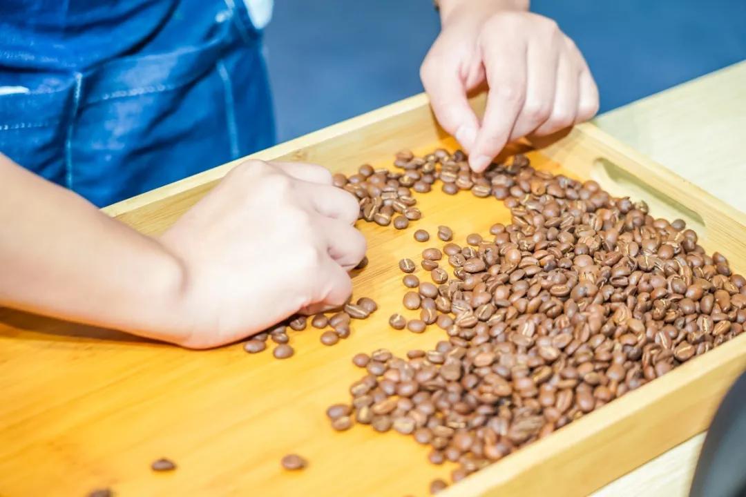 「链接」美食与机遇，撬动西南酒店餐饮内循环！—Hotelex邀你来