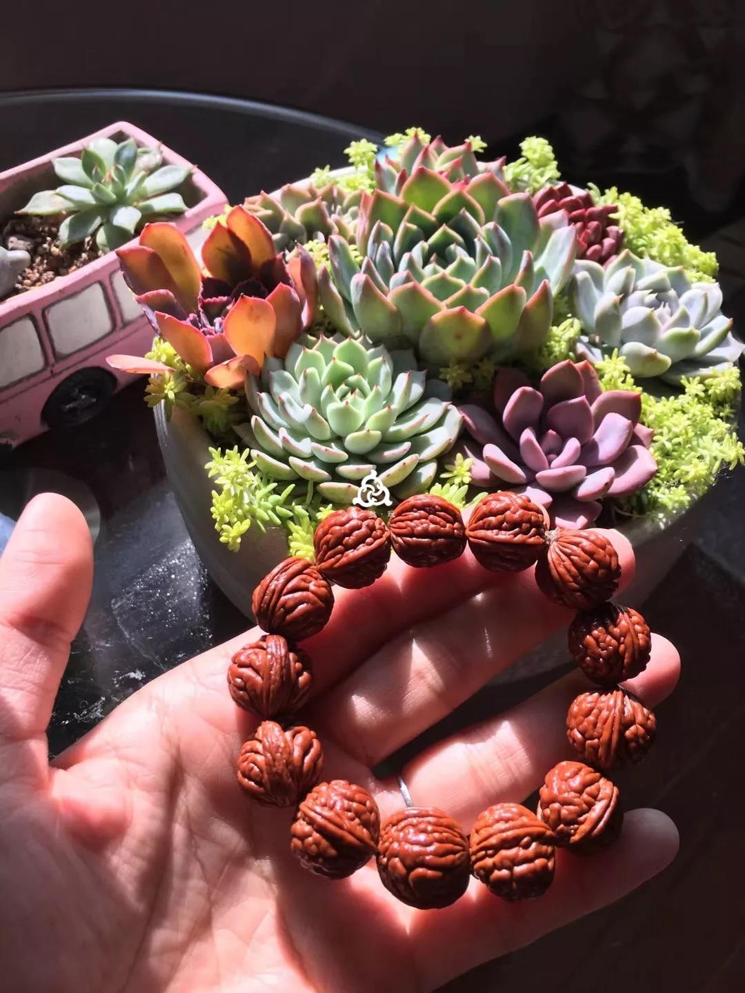 桃核手串玩家,桃核文玩爱好者