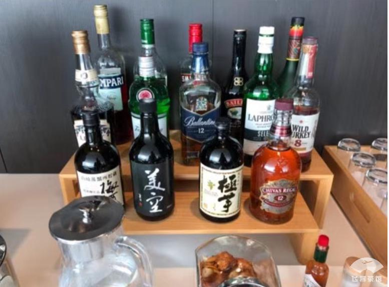 日航飞机头等舱体验视频 (日航787商务舱体验)