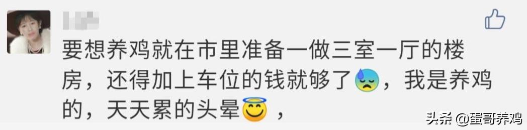 养10000只下蛋鸡一年收入,养1万只蛋鸡的利润