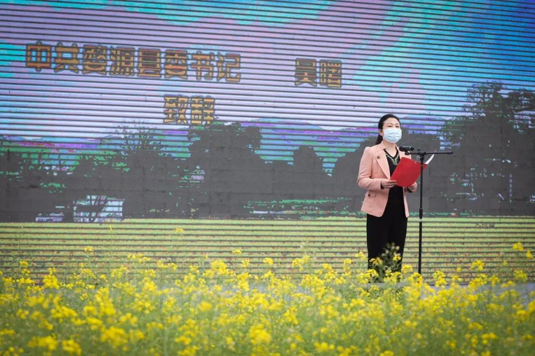 婺源油菜花节,2023婺源油菜花节