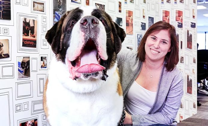 chewy电商平台,chewy宠物电商