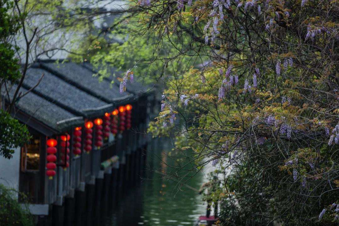 富可敌国的江南古镇,富可敌国的沈万三故里