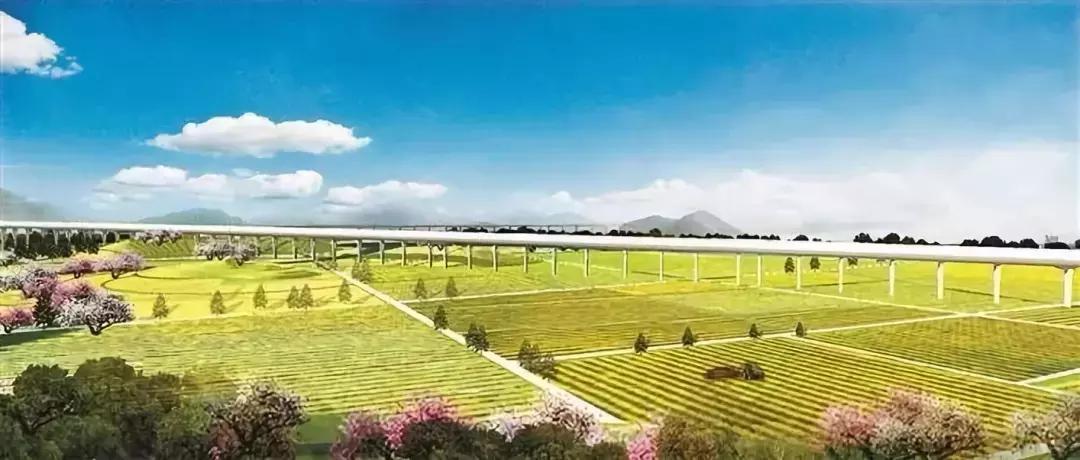 深圳光明发展最好的地方在哪,深圳光明区有什么好的地方