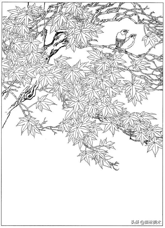 现代国画工笔花鸟白描及完整版,路雨年工笔白描花鸟团扇高清图片