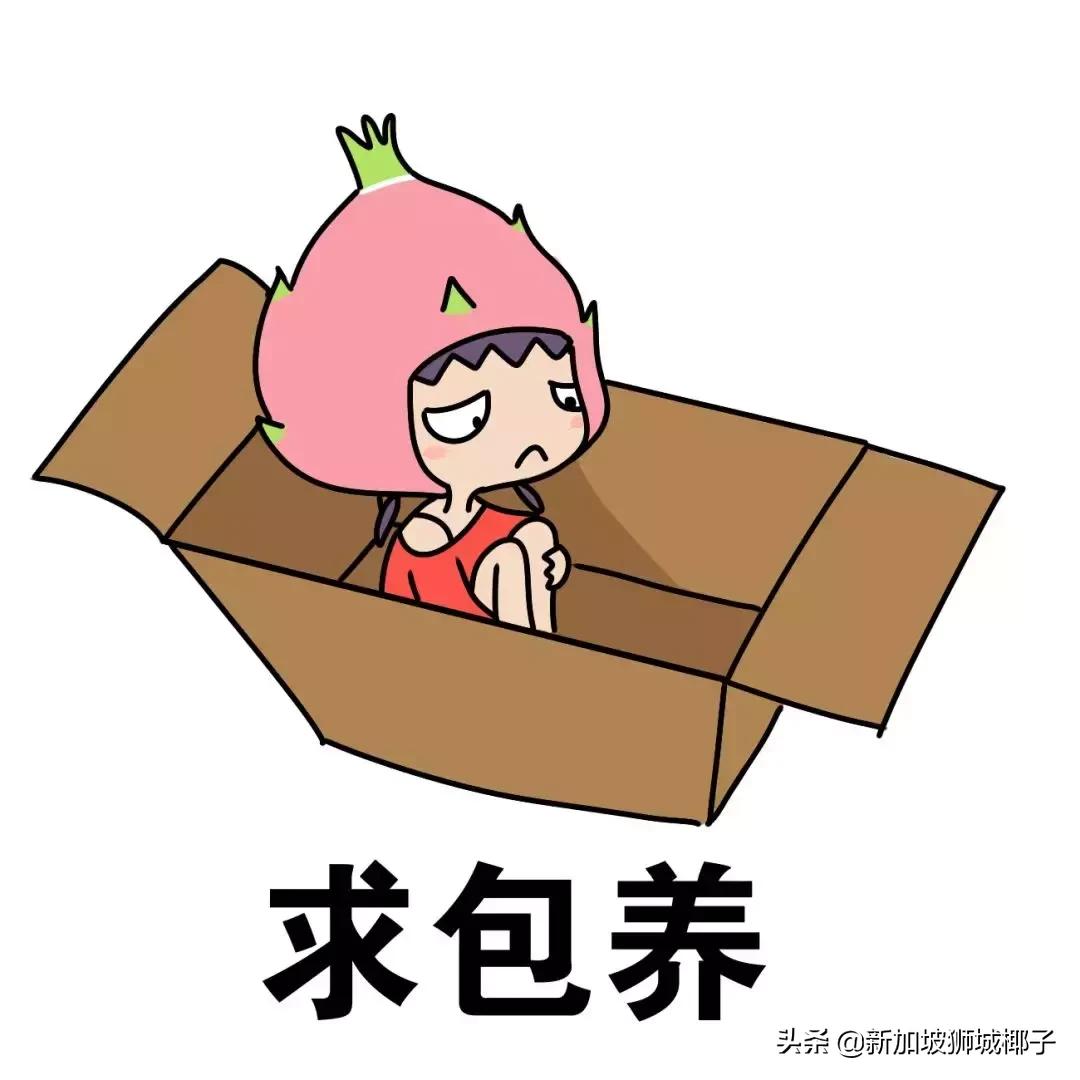 新加坡有没有兼职工作推荐,新加坡有哪些兼职可以做