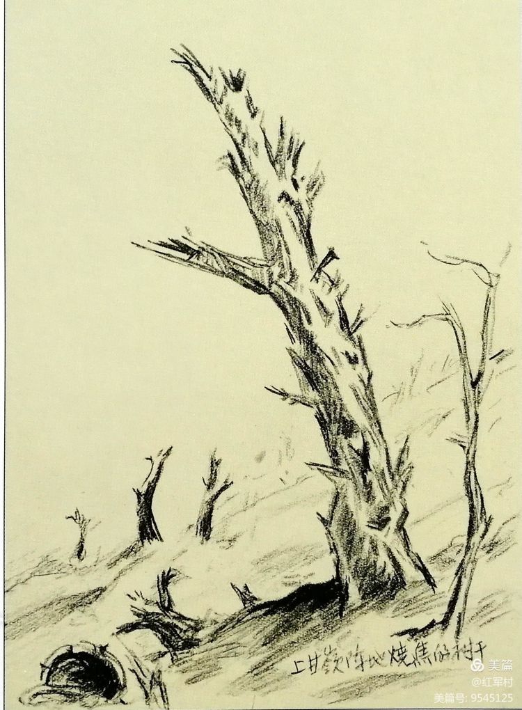 为志愿军烈士墓和毛岸英烈士墓写碑文的罗继五