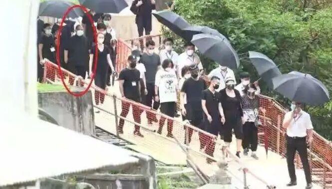 赌王家未解之谜,揭秘赌王家产风波下集