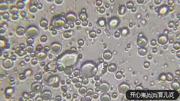 显微镜下的冷冻母乳,显微镜下母乳的营养成分