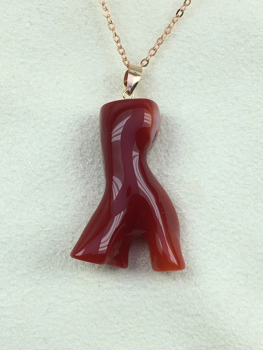 红珊瑚怎么辨别图片,红珊瑚怎么区分品种