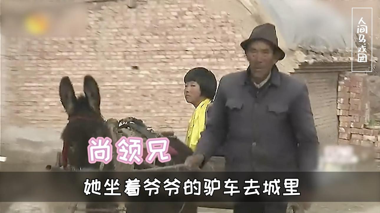 变形计到底害了多少农村孩子,变形计毁掉的儿童